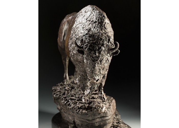 Veteran Bull Buffalo Bronze on black granite