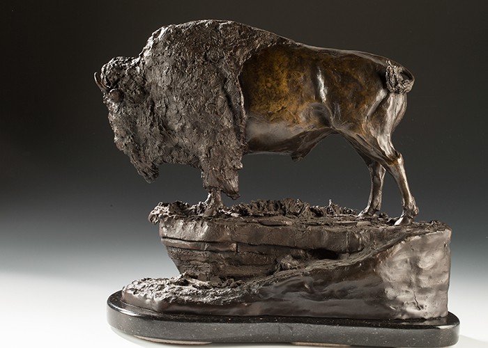 Veteran Bull Bison Bronze on black granite
