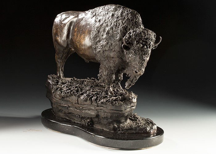 Veteran Bull Bison Buffalo Bronze Sculpture