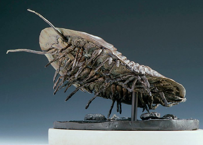 Isotelus Maximus cast bronze