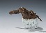 Hatchling Turtle cast bronze sculpture